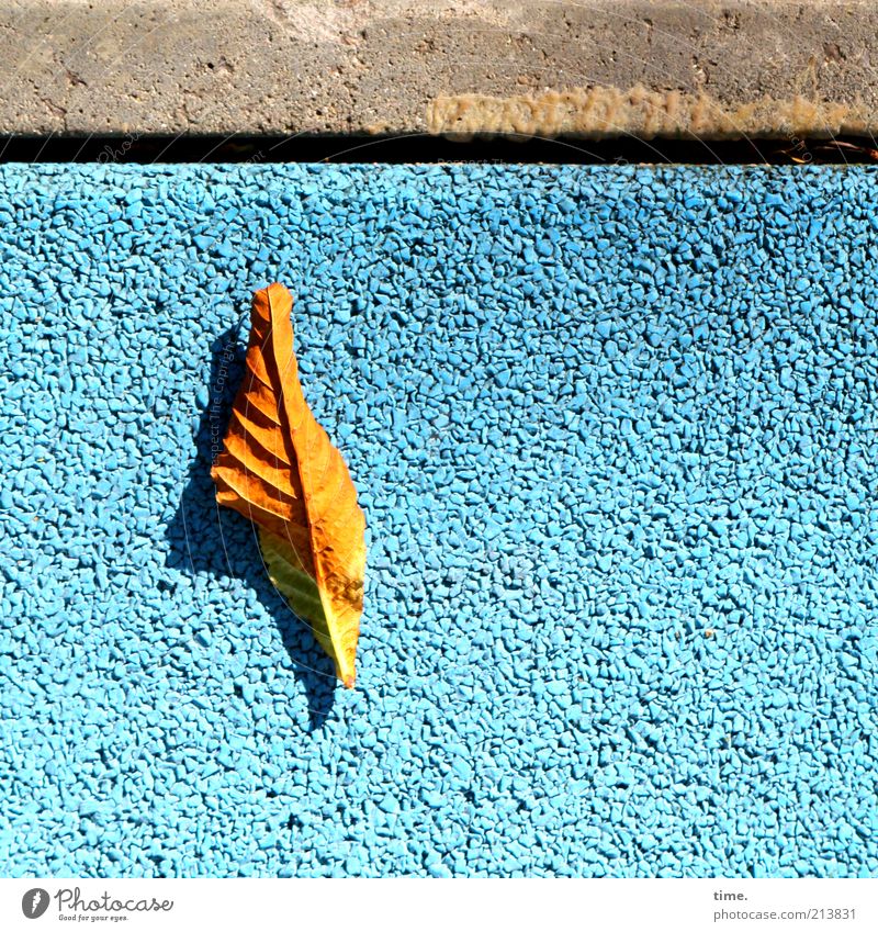 Sommerschlussvorlauf Stein Beton außergewöhnlich Blatt Herbst gold Strukturen & Formen alt modern blau grau Farbe Farbstoff Bürgersteig Bodenbelag Straßenbelag