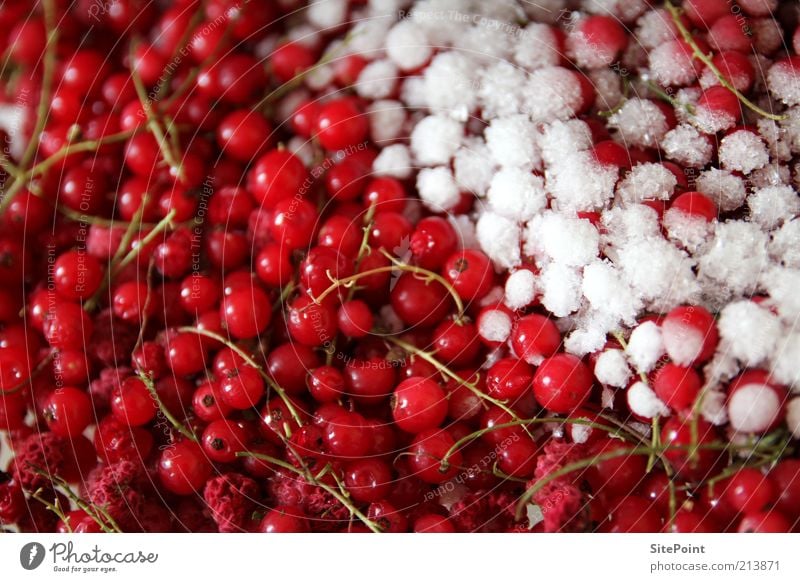 Halbgefrorenes Lebensmittel Frucht Sommer Schnee frieren rund saftig sauer süß rot weiß kalt Johannisbeeren Eis Himbeeren gekühlt Beeren lecker Gesundheit