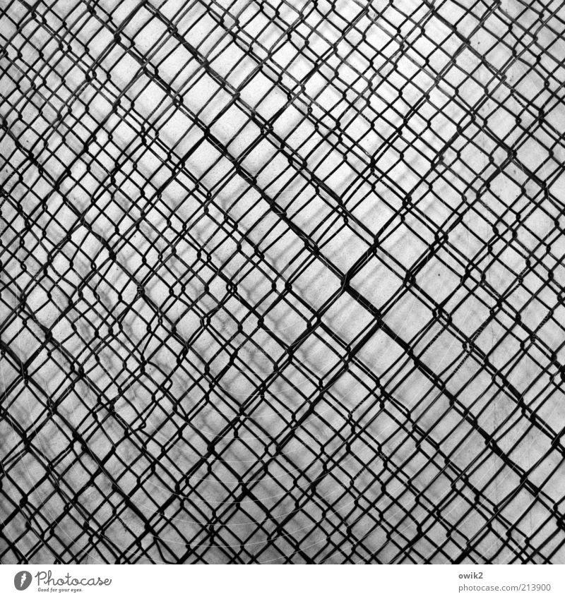 Steve Reichs Gartenzaun Metall ästhetisch dünn eckig einfach grau schwarz weiß Interferenz Überlappung Unendlichkeit verzahnt durcheinander Maschendraht