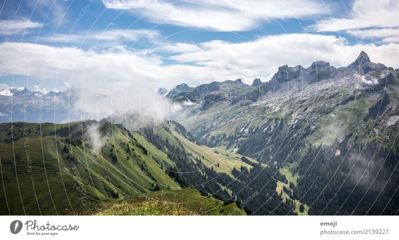 Nebelschwaden Umwelt Natur Landschaft Sommer Schönes Wetter Hügel Alpen Berge u. Gebirge natürlich grün Schweiz Tourismus Ferien & Urlaub & Reisen