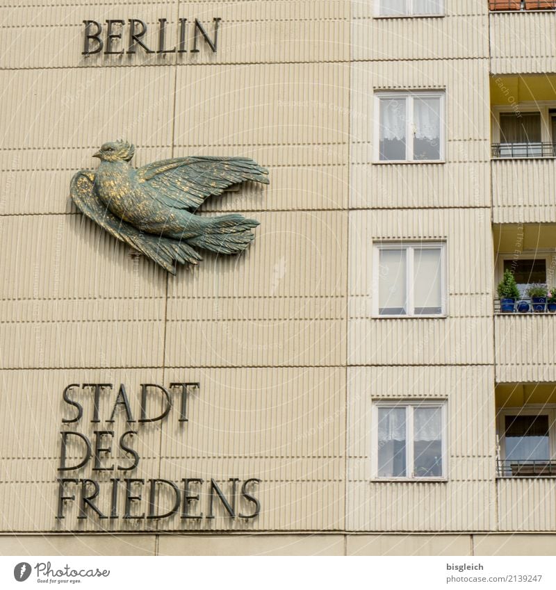 Berlin - Stadt des Friedens Deutschland Europa Hauptstadt Nikolaiviertel Taube Friedenstaube braun grün Farbfoto Außenaufnahme Tag