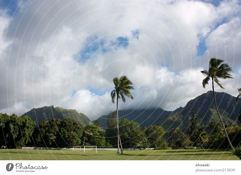 Fußballplatz hawaiianisch Sportstätten Landschaft exotisch Palme Urwald Hügel Kauai Farbfoto Außenaufnahme Menschenleer Berge u. Gebirge Wolken Sportrasen