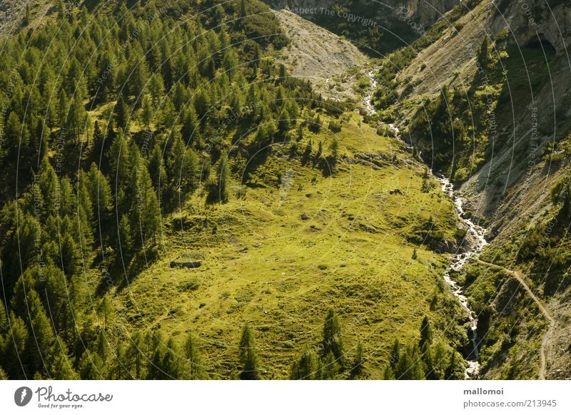 idyll Ferien & Urlaub & Reisen Tourismus Ausflug Freiheit Sommer Berge u. Gebirge Umwelt Natur Landschaft Schlucht Bach Alpen Alpenwiese Gebirgsfluß Wald