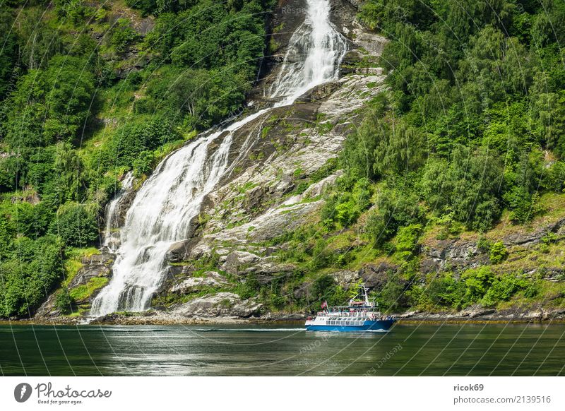 Blick auf den Geirangerfjord in Norwegen Ferien & Urlaub & Reisen Tourismus Kreuzfahrt Berge u. Gebirge Natur Landschaft Wasser Wolken Baum Wald Felsen Fjord