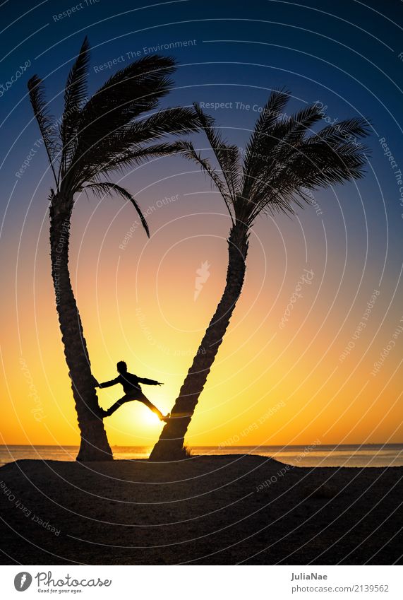 Silhouette - 2 Palmen und ein Mensch im Sonnenaufgang Kind Mann Schatten Sonnenuntergang Meer Ferien & Urlaub & Reisen Sommer Mittelmeer Rotes Meer Karibik Kuba