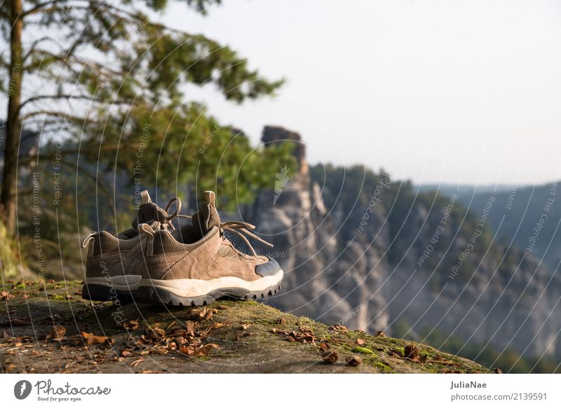 Wanderschuhe mit Aussicht ausblick Baum Berge u. Gebirge Bergsteigen Elbsandsteingebirge Erholung Felsen gehen Gipfel Herbst Landschaft Nationalpark Natur