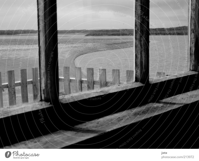 Haus am See Seeufer Flussufer Strand Teich Fenster alt Zaun Horizont Traurigkeit Trauer beobachten Einsamkeit Neuseeland Fensterscheibe Schatten Landschaft