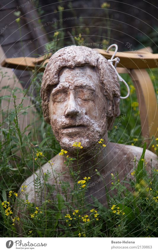 Naturverbunden schön Erholung ruhig Meditation Mensch maskulin Junger Mann Jugendliche Kopf Gesicht Kunstwerk Skulptur Umwelt Pflanze Sommer Wetter Blume Wiese