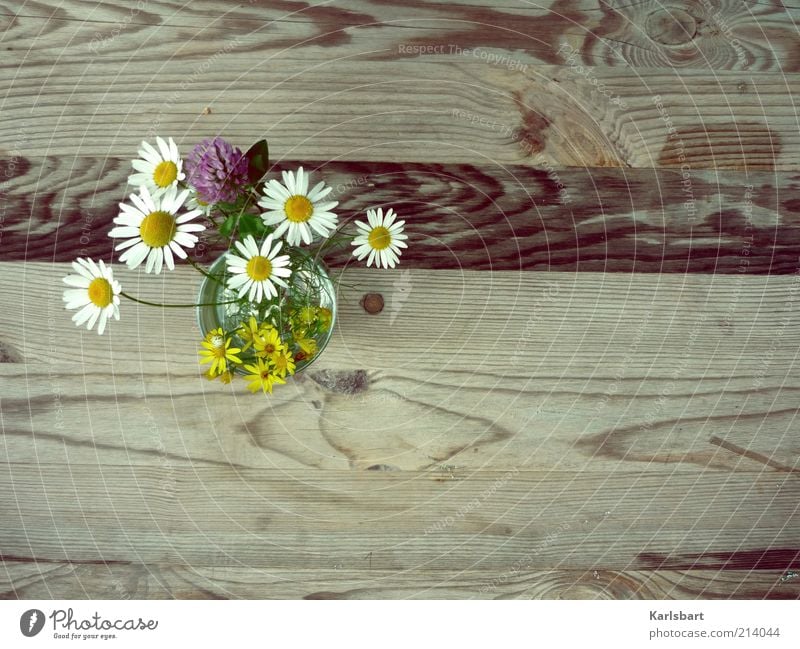 o´pflückt is. Lifestyle Stil Design Freude Sommer Häusliches Leben Dekoration & Verzierung Tisch Frühling Schönes Wetter Pflanze Blume Blüte Blumenstrauß