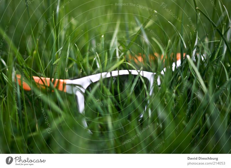 Brauchen wir die noch? Natur Pflanze Frühling Sommer Gras Grünpflanze Accessoire Brille Sonnenbrille grün weiß Wetterschutz Schutz Schutzbrille sommerlich