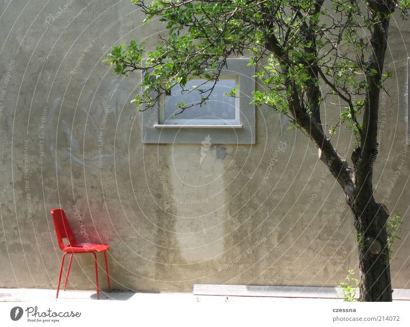 solitary chair Frühling Sommer Baum Mauer Wand Fassade Terrasse Fenster Design Erholung ruhig Farbfoto Außenaufnahme Morgen Betonwand Menschenleer Sonnenlicht