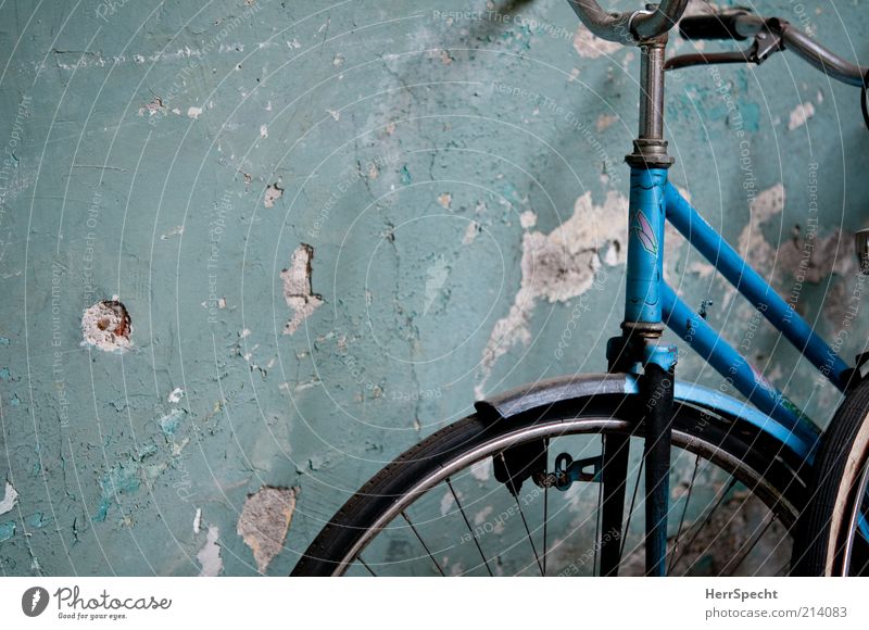 Hinten im Hof Mauer Wand Fahrrad alt authentisch dreckig kaputt trashig trist blau grün Putz Loch Farbe Detailaufnahme Bildausschnitt Anschnitt türkis
