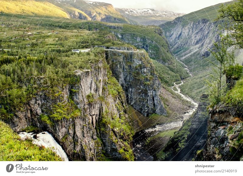 Eidfjord, Norway Umwelt Natur Landschaft Pflanze Urelemente Erde Sommer Klima Schönes Wetter Gras Sträucher Felsen Berge u. Gebirge Gipfel Schlucht Fjord