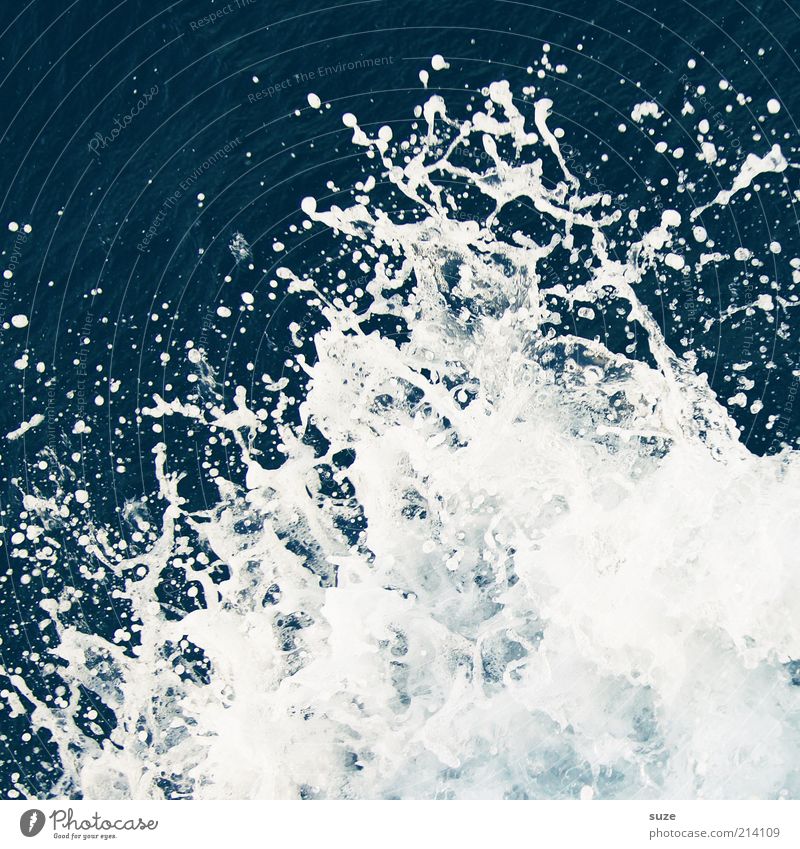 Wasser Meer Wellen Wassertropfen kalt nass blau weiß spritzen feucht frisch Quelle Hintergrundbild Gischt Farbfoto mehrfarbig Außenaufnahme abstrakt