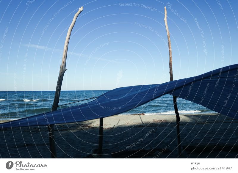 Blaue Wellen auf Korsika Ferien & Urlaub & Reisen Freiheit Sommer Sommerurlaub Sonne Strand Meer Landschaft Wasser Wolkenloser Himmel Schönes Wetter Wind Wärme