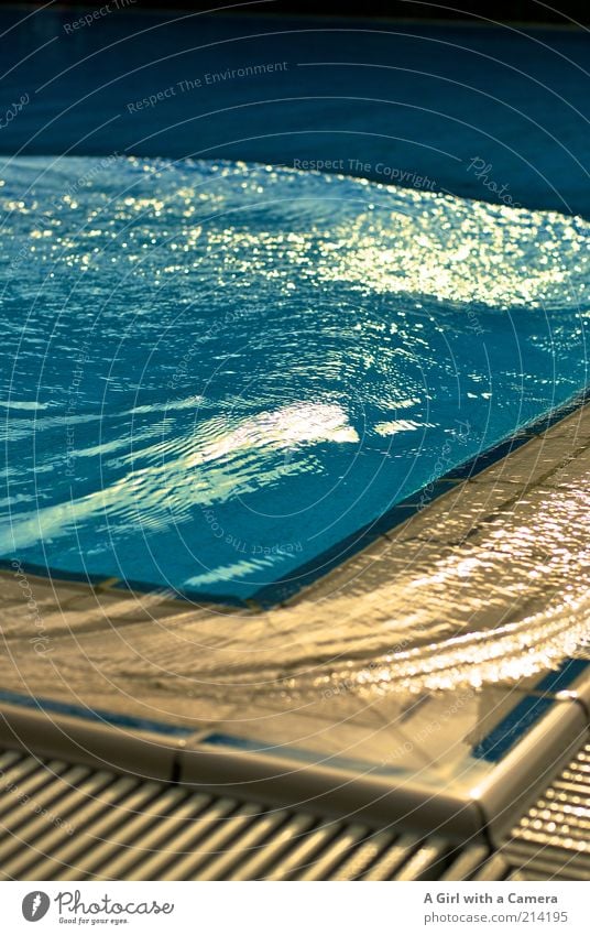 Letzte Badetag! harmonisch Erholung Sommer Schönes Wetter Originalität nass schwappen blau Schwimmbad Freibad Saisonende Menschenleer Detailaufnahme