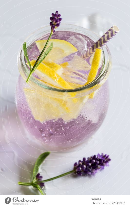 Ein Glas mit leckerem, eisgekühlten und gesunden Lavendelwasser mit Zitrone Frucht Kräuter & Gewürze Bioprodukte Vegetarische Ernährung Diät Getränk