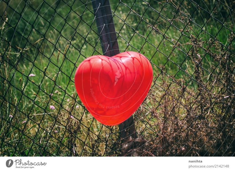 Rotes Herz formte Ballon in einem Zaun Valentinstag Natur Pflanze Gras Luftballon Metall authentisch einfach Fröhlichkeit Gesundheit schön niedlich grün rot