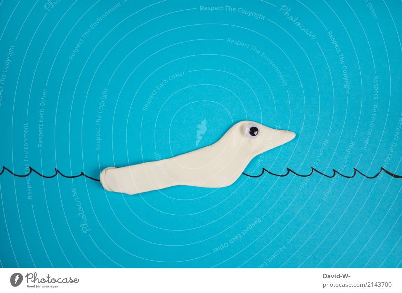 Seehund Kunst Kunstwerk Umwelt Natur Wasser Klima Klimawandel Nordsee Ostsee Meer Tier Nutztier Wildtier Hund 1 Schwimmen & Baden wandern Neugier schön tauchen