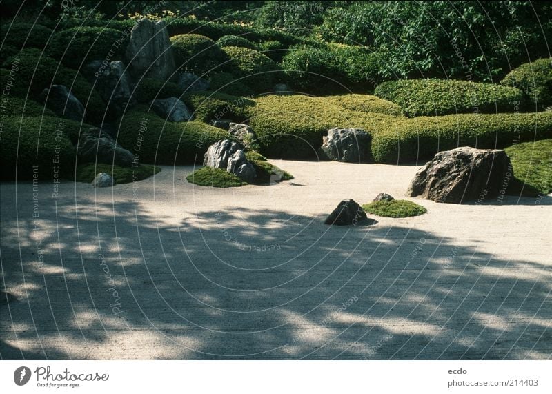 Japanserockgarten Landschaft Pflanze Sonnenlicht Sommer Schönes Wetter Wärme Baum Sträucher Garten Felsen ästhetisch elegant exotisch einzigartig grau grün weiß