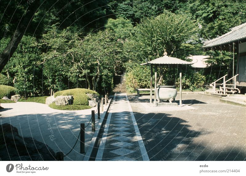 Japanesegardenart Landschaft Sonnenlicht Sommer Schönes Wetter Wärme Baum Sträucher Garten Felsen Japanischer Garten ästhetisch schön einzigartig grau grün weiß