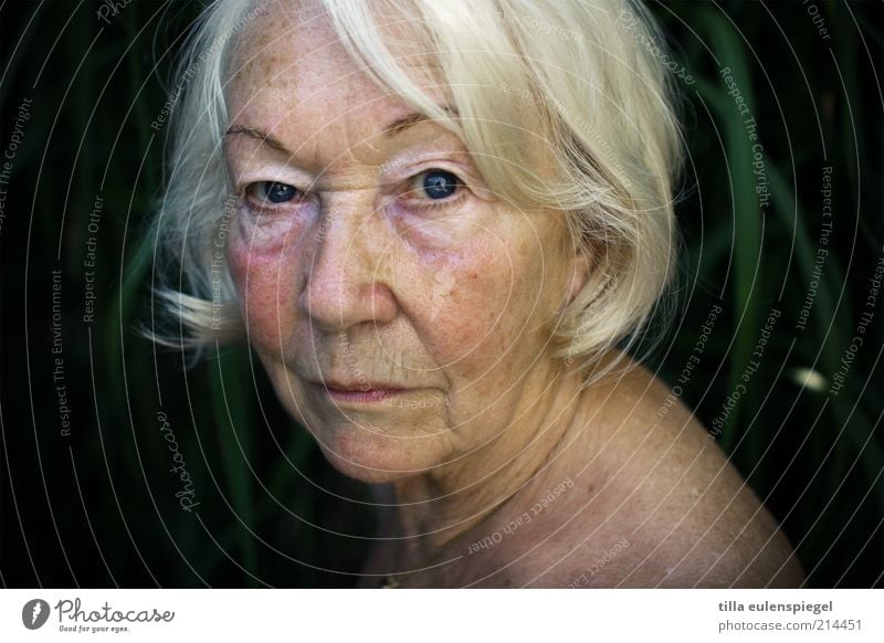 wissend Weiblicher Senior Frau 1 Mensch 60 und älter weißhaarig beobachten alt authentisch natürlich Vergänglichkeit Haarschnitt Hautfalten Großmutter ruhig