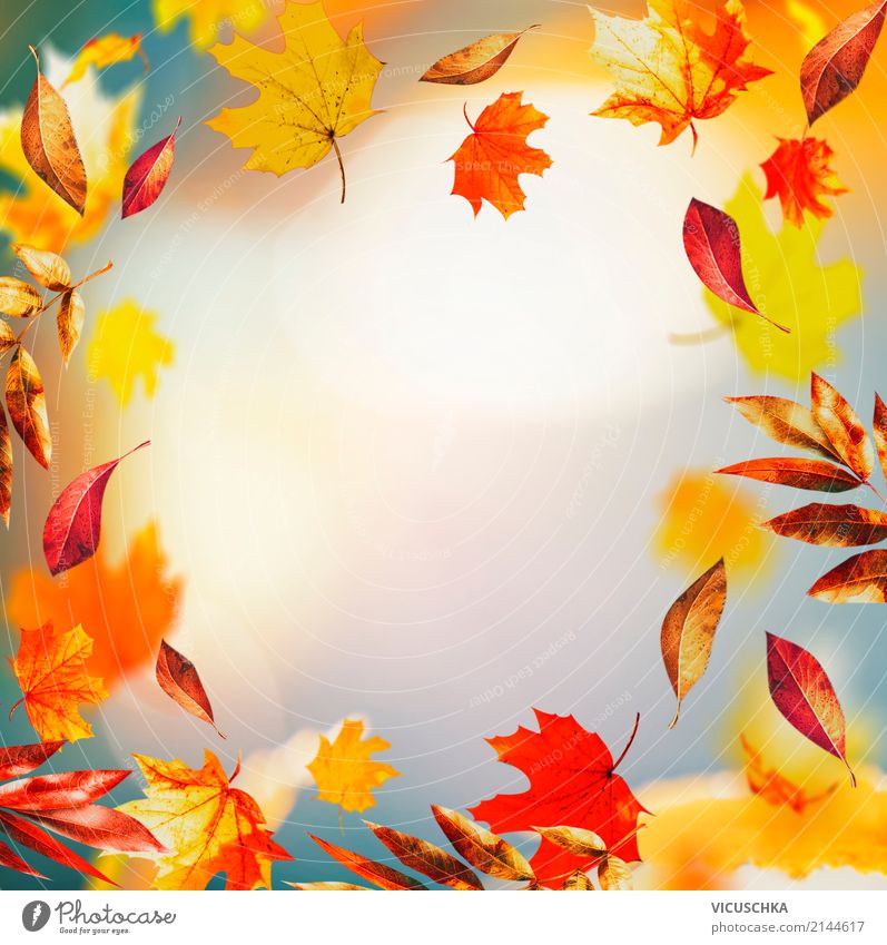 Herbst Hintergrund mit bunten fallende Blätter Stil Design Natur Blatt Garten Park Herbstlaub Herbstbeginn mehrfarbig Rahmen Hintergrundbild Farbfoto