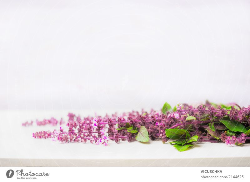 Frische lila Heilkräuter auf weißem Tisch Kräuter & Gewürze Lifestyle Natur Pflanze Gesundheit Hintergrundbild Heilpflanzen violett Alternativmedizin Blüte