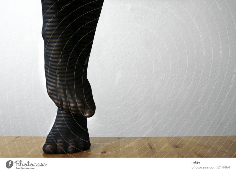 Füße (verlegen) Stil schön Fuß Strümpfe Strumpfhose Nylon ästhetisch elegant trendy einzigartig verrückt feminin Scham Schüchternheit berühren Frauenfuß