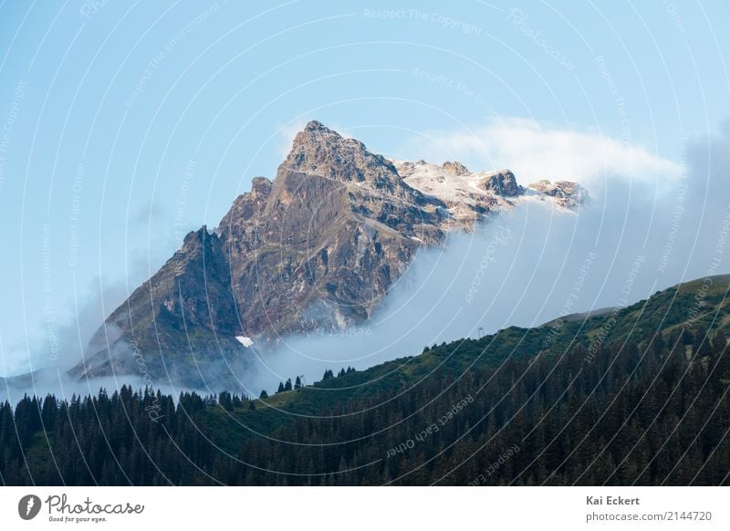 Morgenschnee Natur Schönes Wetter Nebel Baum Berge u. Gebirge Gipfel ästhetisch eckig Ferne gigantisch natürlich blau grün Optimismus Mut standhaft Abenteuer