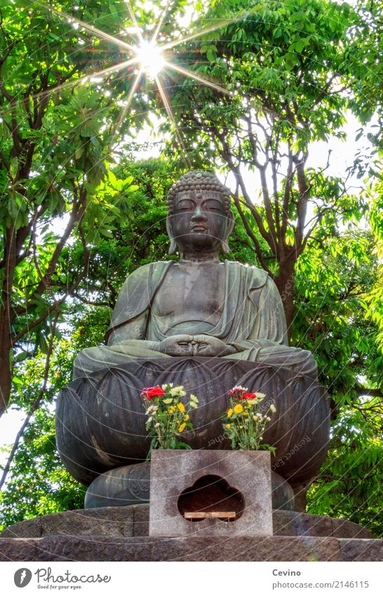 Hallo Freund! Tokyo Japan Asien Hauptstadt Stadtzentrum Sehenswürdigkeit achtsam Vorsicht Gelassenheit geduldig ruhig Religion & Glaube Buddha Buddha Statue