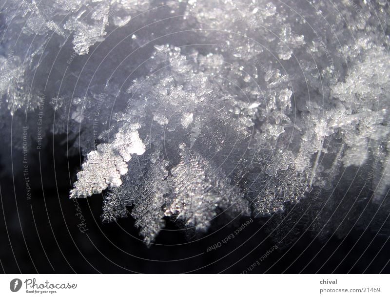 Eiskristalle Winter kalt Raureif frieren gefroren Schnee Kristallstrukturen Frost Sonne