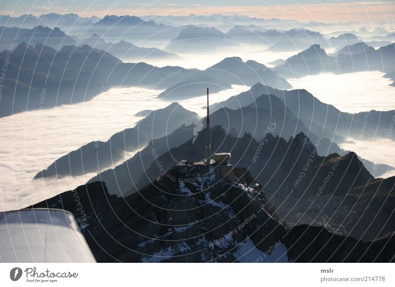 Säntis Gegenlicht Berge u. Gebirge Natur Landschaft Wetter Nebel Alpen Gipfel ästhetisch blau Toggenburg Farbfoto Außenaufnahme Menschenleer Silhouette