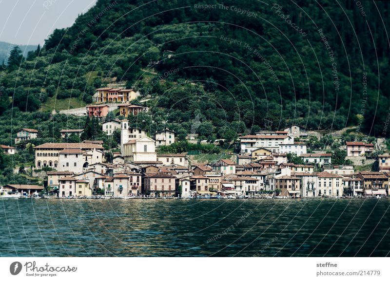 urlaub Küste Seeufer Italien Dorf Hafenstadt Farbfoto Außenaufnahme Tag Reisefotografie Ferien & Urlaub & Reisen Haus