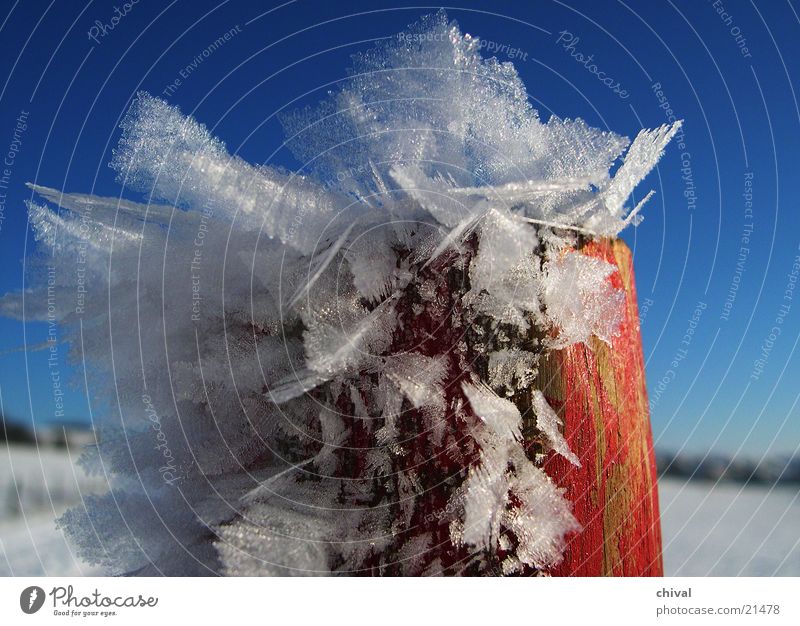 Pfahl mit Rauhreif Winter Raureif rot weiß kalt gefroren Pfosten blau Kristallstrukturen Schnee Himmel