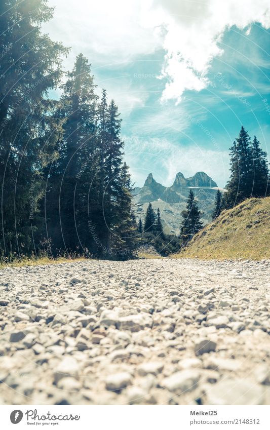 Dieser Weg Abenteuer Sommerurlaub Berge u. Gebirge wandern Umwelt Landschaft Erde Luft Himmel Schönes Wetter Alpen Gipfel Menschenleer entdecken Erholung laufen