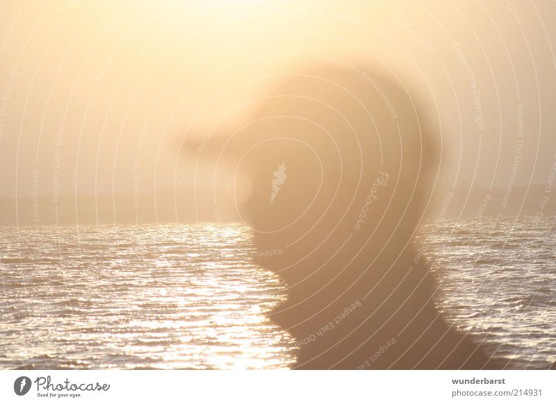 Gegenlicht Mensch Kopf 1 Sonnenaufgang Sonnenuntergang Sonnenlicht warten Farbfoto Außenaufnahme Dämmerung Profil Baseballmütze Silhouette Wasseroberfläche Meer