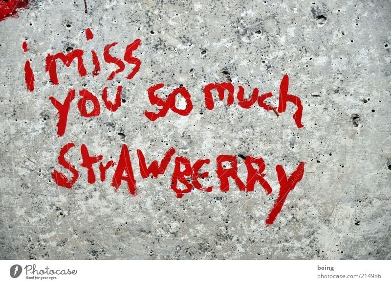 Ich vermisse dich so sehr Erdbeere Zeichen Schriftzeichen Hinweisschild Warnschild Graffiti Gefühle Romantik Begierde Erdbeeren Außenaufnahme vermissen Stein