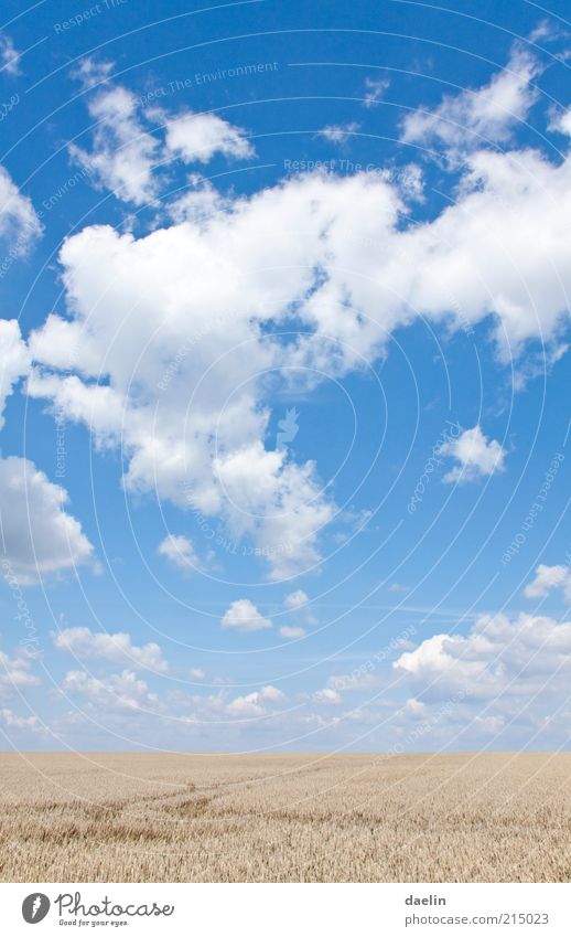 heaven day cloudy Landschaft Himmel Wolken Horizont Herbst Schönes Wetter Nutzpflanze Feld blau himmelblau Wolkenhimmel Wolkenformation Wolkenbild herbstlich