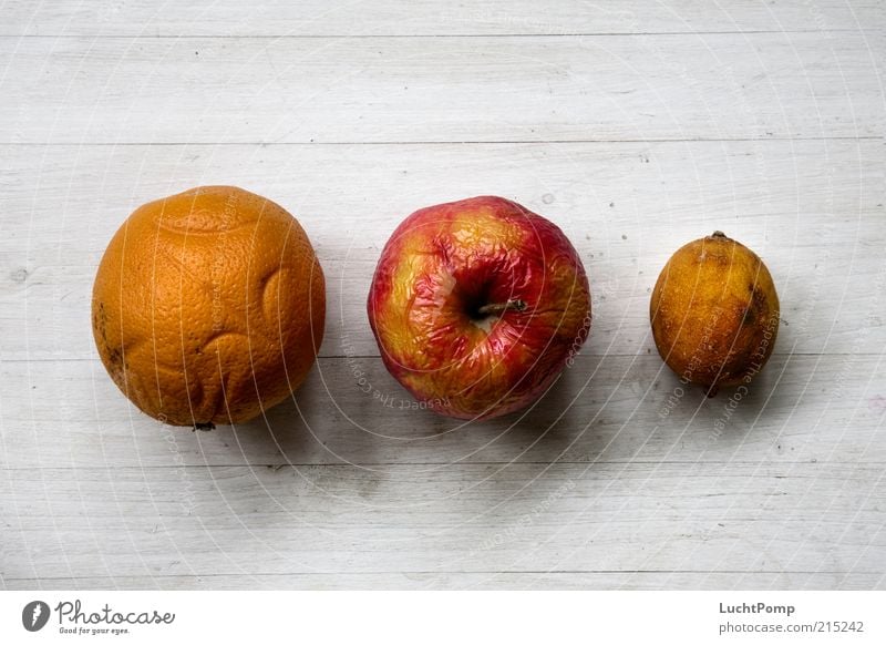 Rentner-Gang Orange Apfel Zitrone Holz mehrfarbig alt schrumplig verdorben Frucht vertrocknet Vogelperspektive überzogen rot gelb gelb-orange rotgelb orange-rot