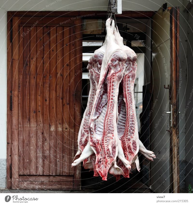 ([k]ein) schwein gehabt Lebensmittel Fleisch Wurstwaren Arbeitsplatz Wirtschaft Handel Tier Nutztier Totes Tier 4 authentisch Ordnungsliebe Schlachthof Schwein
