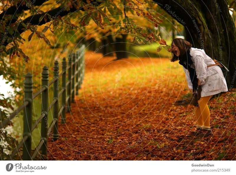 Herbsthungrig Mensch feminin Junge Frau Jugendliche Erwachsene 1 Umwelt Natur Klima Schönes Wetter Bekleidung Jacke Strumpfhose Handschuhe brünett spontan