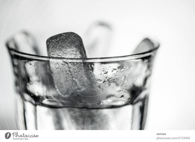 Glas mit Eissticks und Wasser Getränk Erfrischungsgetränk Trinkwasser Alkohol Eiswürfel Sommer Bar Cocktailbar trinken kalt schwarz weiß Detox Detailaufnahme