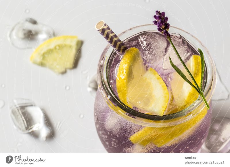 Eisgekühltes Erfrischungsgetränk mit Lavendel und Zitrone Frucht Kräuter & Gewürze Eiswürfel Bioprodukte Vegetarische Ernährung Diät Getränk Trinkwasser Glas