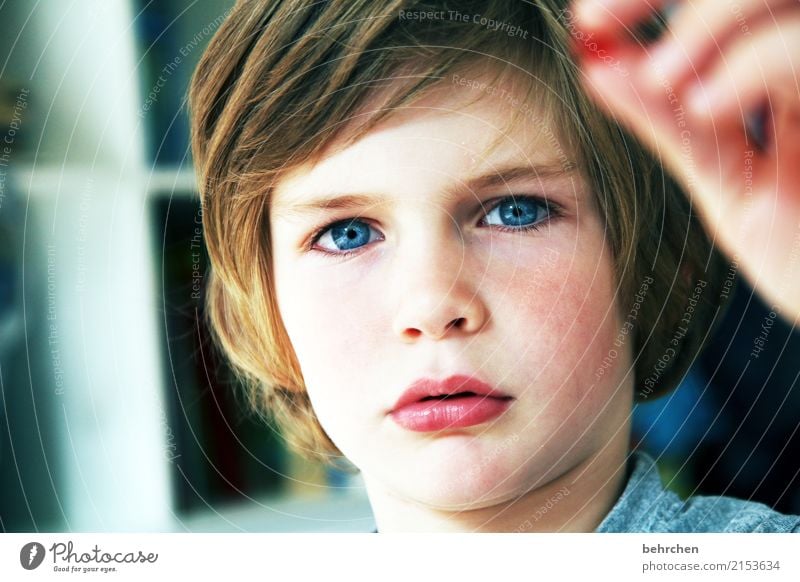 fragend Junge Familie & Verwandtschaft Kindheit Körper Haut Kopf Haare & Frisuren Gesicht Auge Nase Mund Lippen 1 Mensch 3-8 Jahre beobachten Kommunizieren
