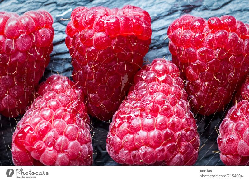 Himbeeren liegen auf Schieferplatte Frucht Bioprodukte Vegetarische Ernährung Gesunde Ernährung Sommer Herbst frisch Gesundheit lecker süß grau rot Vitamin
