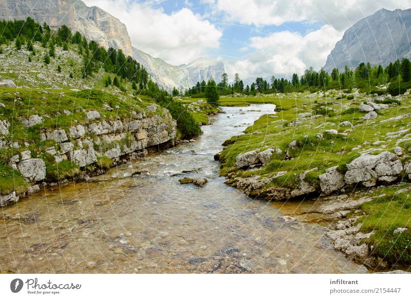 In den Dolomiten Ferien & Urlaub & Reisen Freiheit Sommer Berge u. Gebirge wandern Umwelt Natur Landschaft Wolken Wiese Wald Felsen Alpen Bach Italien nass