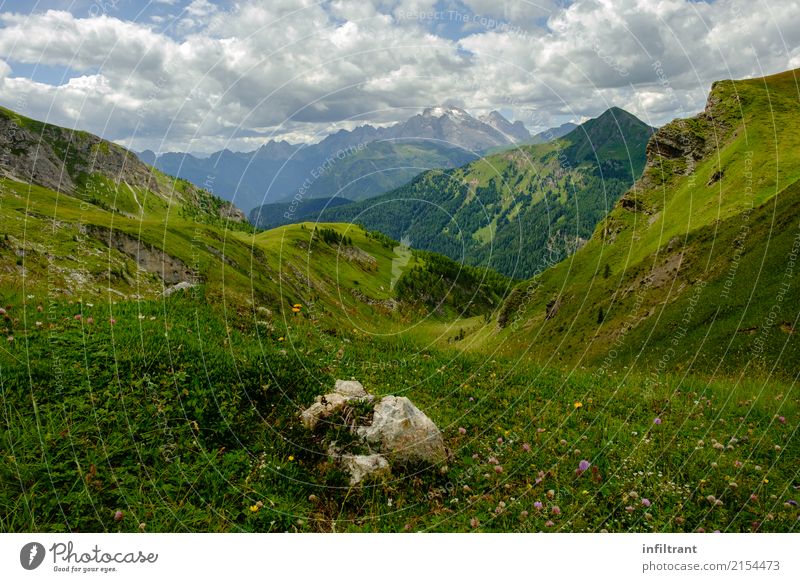 Dolomiten Höhenwiese Ferien & Urlaub & Reisen Ferne Sommer Berge u. Gebirge wandern Umwelt Natur Landschaft Wolken Schönes Wetter Gras Wiese Alpen Gipfel