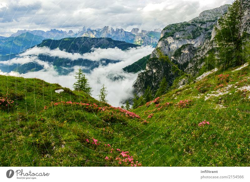 Unterwegs in den Dolomiten Ferien & Urlaub & Reisen Tourismus Sommer Berge u. Gebirge wandern Landschaft Wolken Wiese Hügel Alpen Blühend Erholung natürlich