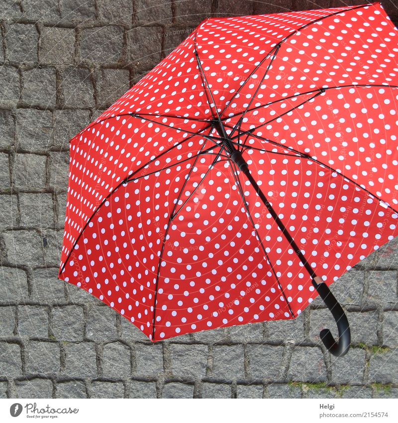 AST 10 | Tanzpause Platz Pflastersteine Regenschirm Punkt Stein liegen schön grau rot schwarz weiß Schutz einzigartig Griff gespannt offen Farbfoto mehrfarbig